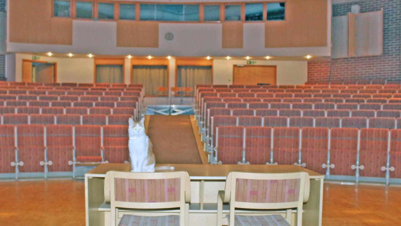 Suolahti Vanha Koulu מראה חיצוני תמונה
